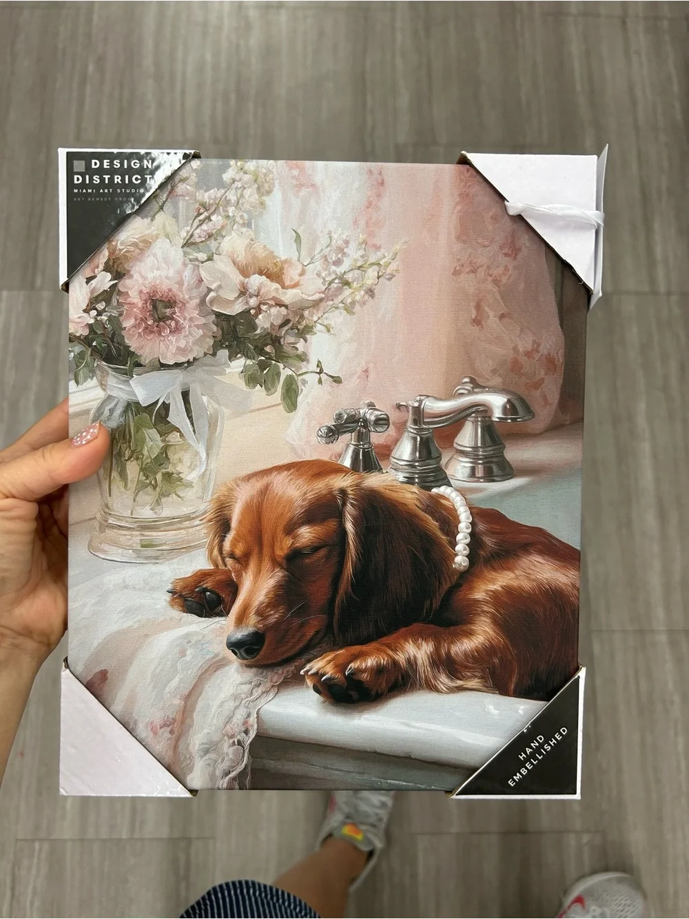 Sleeping Dachshund Canvas Wall Art